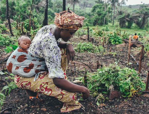 Africa Ecological Futures