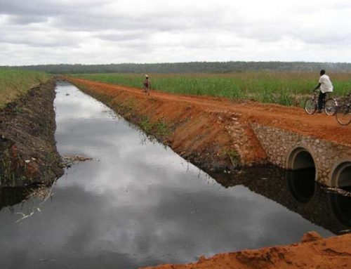 Limpopo Basin Investment Framework